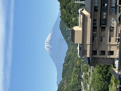 IMG_6821 (002).jpeg